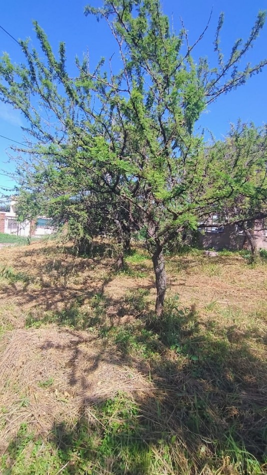 LOTE EN VENTA 560M2 TALAR DE MENDIOLAZA!!!!!!!!!