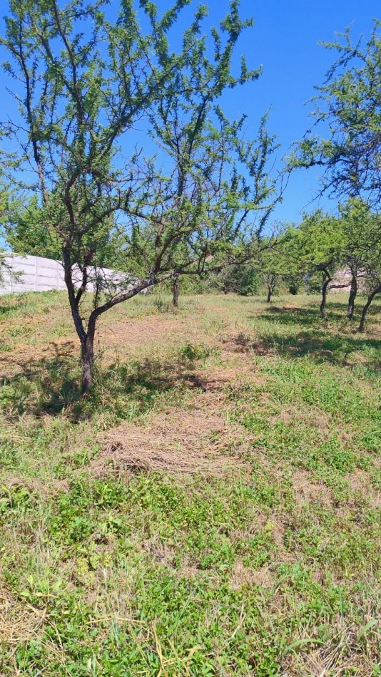 LOTE EN VENTA 560M2 TALAR DE MENDIOLAZA!!!!!!!!!