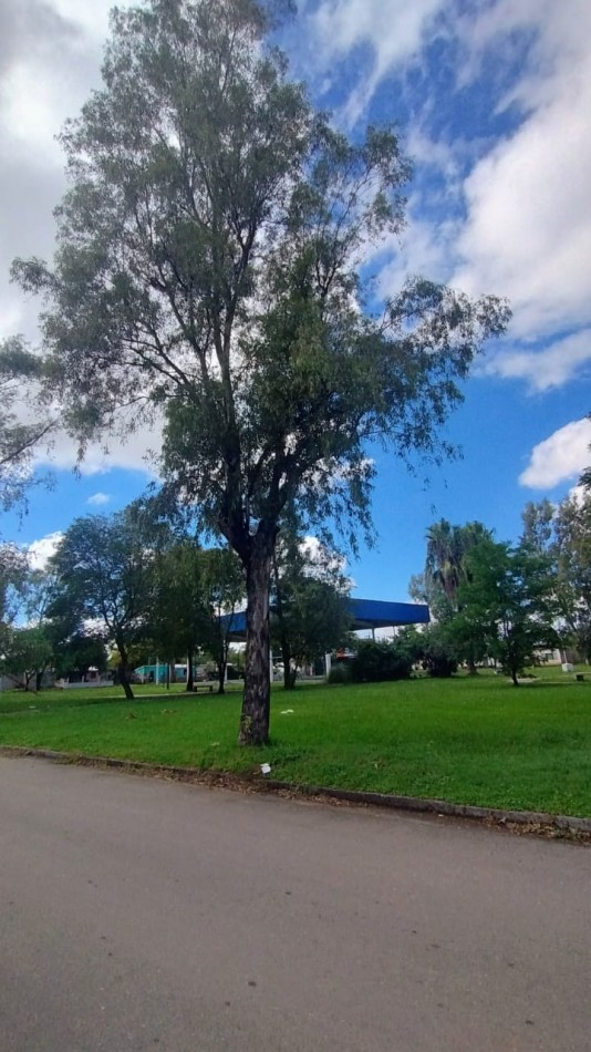 Casa en Venta en Arguello - Gran potencial de refaccion